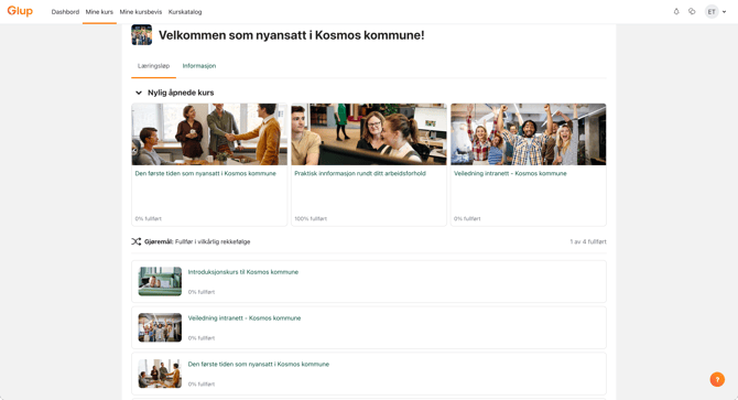 Eksempel på læringsløp for nyansatte