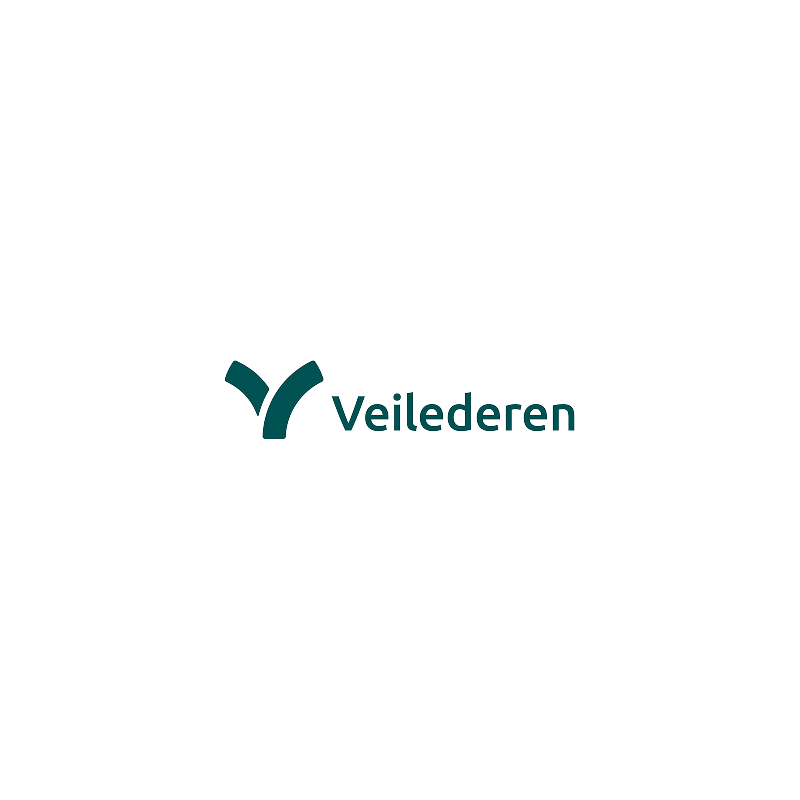 Veilederen 800x800